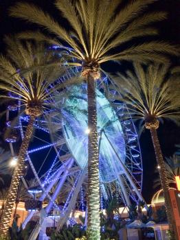 Ferris wheel and palm trees illuminated at night colorful lights glowing