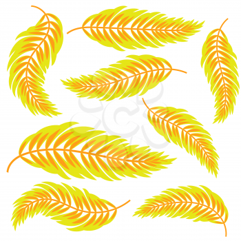 Set flat abstract isolated yellow leaf curving in different directions