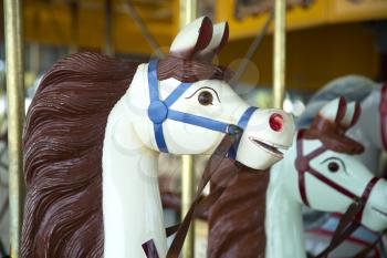 White horse with brown mane in a carousel