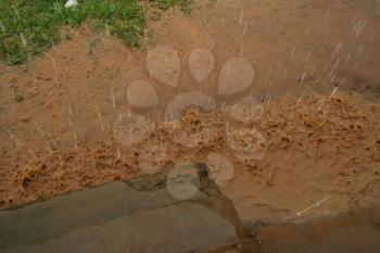 Rainwater Stock Photo