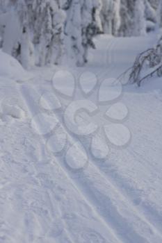 Ski Stock Photo