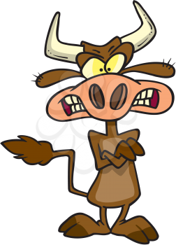 Royalty Free Clipart Image of an Angry Cow
