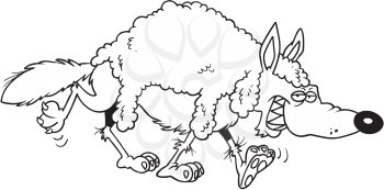 Royalty Free Clipart Image of a Wolf Wearing Sheep's Wool