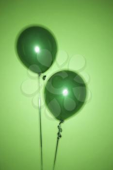 Royalty Free Photo of a Still Life of Green Balloons on a Green Background