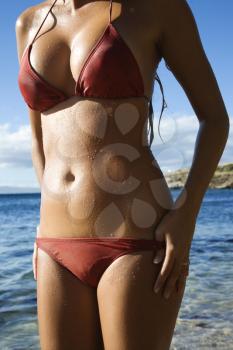 Royalty Free Photo of a Body Shot of a Female in a Bikini on a Beach in Maui Hawaii