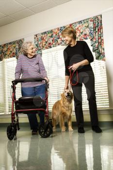 Royalty Free Photo of an Elderly Woman Using a Walker With a Woman Walking a Dog at a Retirement Community 
