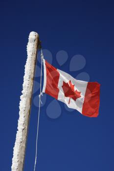 Royalty Free Photo of a Canadian flag