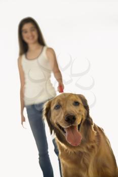 Royalty Free Photo of a Golden Retriever on a Leash With a Woman in the Background