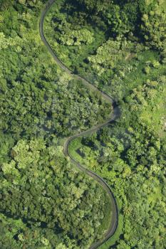 Royalty Free Photo of an Aerial View of a Winding Road Through a Lush Green Forest in Maui, Hawaii
