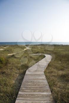 Royalty Free Photo of a Wooden Pathway to a Beach on Bald Head Island, North Carolina