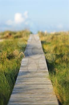 Royalty Free Photo of a Wooden Beach Access Walkway