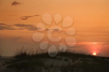 Royalty Free Photo of the Sunset Over a Beach Sand Dune on Bald Head Island, North Carolina