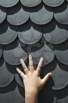 Royalty Free Photo of a Boy's Hand on a Rooftop With Scale Shaped Shingles in Lisbon, Portugal