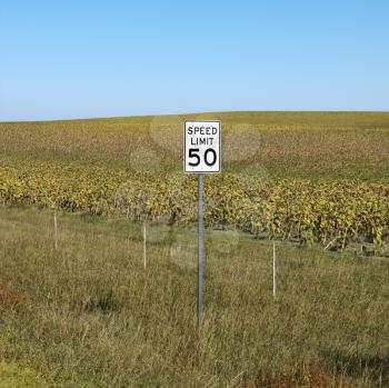 Royalty Free Photo of a Speed Limit Sign in Front of Rural Field of Crops