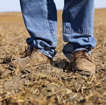 Royalty Free Photo of a Man Wearing Work Boots Standing in a Soybean Field
