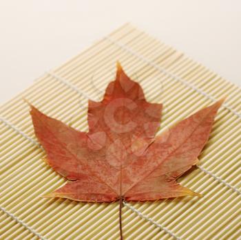 Royalty Free Photo of a Red Sugar Maple Leaf Resting on a Bamboo Mat