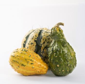 Royalty Free Photo of a Still Life of Three Multicolored Textured Gourds