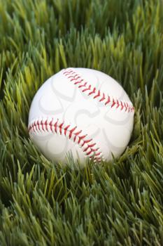 Royalty Free Photo of a Studio Shot of Baseball Laying in the Grass
