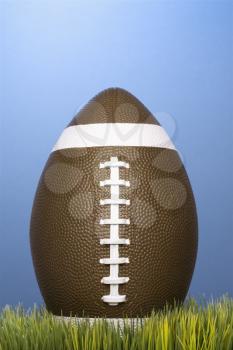 Royalty Free Photo of a Studio Shot of a Football Resting in Grass
