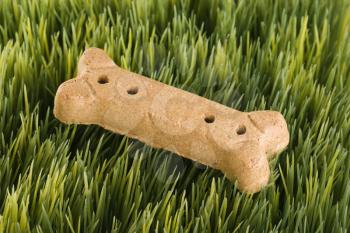 Royalty Free Photo of a Dog Treat on Grass