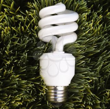 Royalty Free Photo of an Energy Saving Light Bulb Laying in Grass