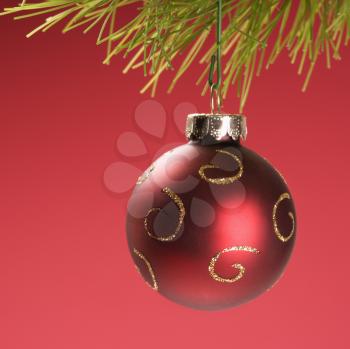 Royalty Free Photo of Still Life of a Red Christmas Ornament Hanging From a Pine Branch