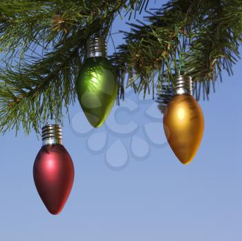 Royalty Free Photo of Ornaments Hanging From a Tree Branch