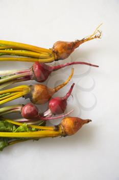 Royalty Free Photo of Freshly Washed Red and Golden Beets Resting on a Counter Top