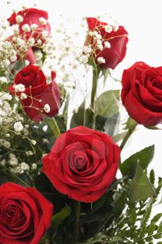 Royalty Free Photo of a Bouquet of Long-Stemmed Red Roses With Baby's Breath