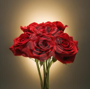 Royalty Free Photo of a Bouquet of Red Roses Against a Glowing Golden Background