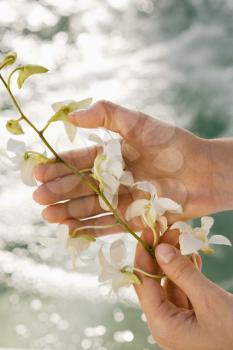 Caucasian woman's hands holding white orchid flowers with pool of water in background.