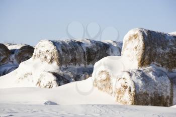 Royalty Free Photo of Snow Covered Pile of Hay Bales