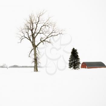Royalty Free Photo of a Red Barn in a Snow Covered Landscape in Midwestern, USA