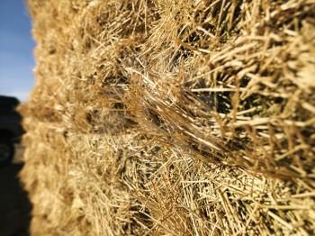Royalty Free Photo of a Bale of Hay