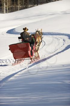Royalty Free Photo of a Man Driving a Horse Drawn Sleigh