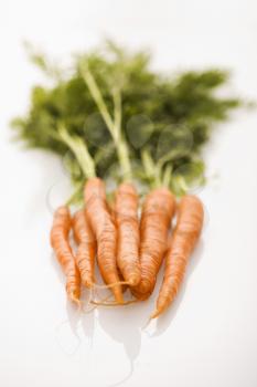 Royalty Free Photo of a Bunch of Carrots