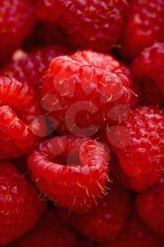 Royalty Free Photo of a Close-up of Red Raspberries