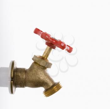 Royalty Free Photo of a Brass Hot Water Faucet