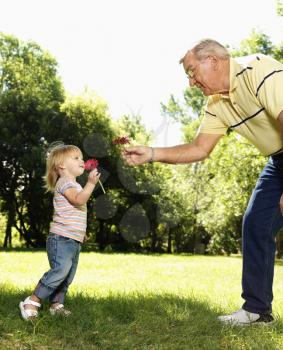 Royalty Free Photo of a Grandfather and Granddaughter Holding Flowers and Smelling