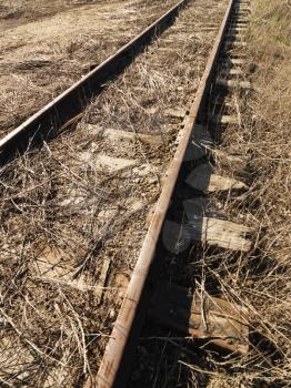 Royalty Free Photo of Railroad Tracks