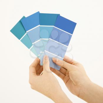 Royalty Free Photo of a Woman Holding Paint Color Swatches