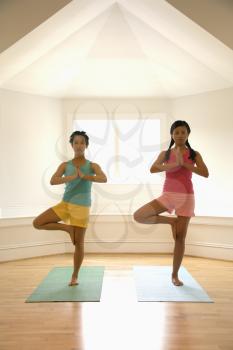 Royalty Free Photo of Two Young Women Balancing Doing Yoga Tree Pose