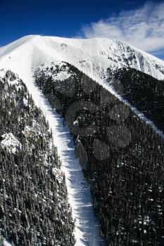 Aerial view of a snowy mountain peak with passes running down between the trees. Horizontal shot.