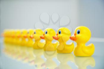 Yellow rubber ducks all lined up in a row.