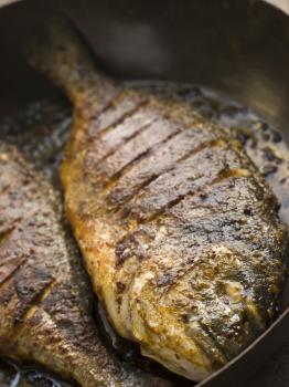 Royalty Free Photo of Emperor Bream Roasted With Tikka Spices