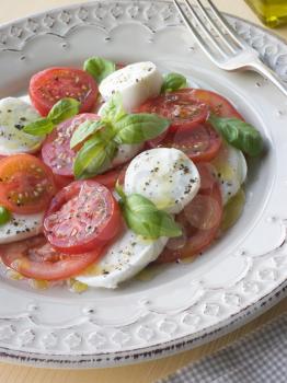 Royalty Free Photo of a Mozzarella, Tomato and Basil Salad
