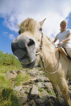 Royalty Free Photo of a Woman on Horseback