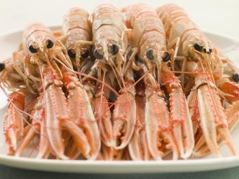 Royalty Free Photo of a Platter of Langouste
