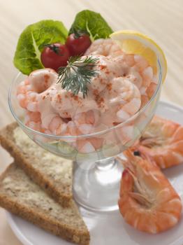 Royalty Free Photo of Prawn Cocktail in a Glass with Brown Bread