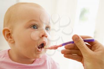 Royalty Free Photo of a Baby Being Fed